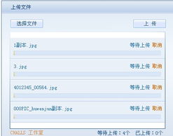 網絡網站資深服務商的批量商品添加及國外空間租用服務詳解