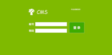 龍巖企業(yè)網(wǎng)站建設(shè)全攻略 從方案規(guī)劃到成功上線(xiàn)